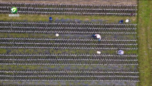 【牢记嘱托开新局 日新江淮往前赶】科技兴农谱新篇 强村富民在路上