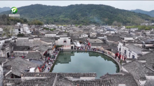 黟县：打造区域公用品牌 绘就“五黑”产业新画卷