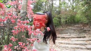 满目新绿醉春光 生态秘境引客来