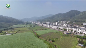 2026长三角全民健身走（跑）邀请赛黄山站举行   