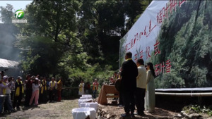 祁红古道高山茶开采 沉浸式茶旅体验受热棒