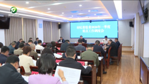 市纪委监委一季度重点工作调度会召开