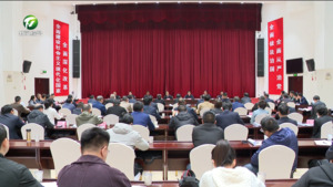 丁纯在全市招商引资提质增效工作专题会议上强调 以正确政绩观推动招商引资提质增效 为“十五五”开好局起好步筑牢坚强项目支撑