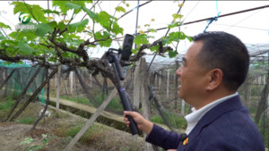 【新安大好山水·走进和美乡村直播间】徽州区：云端逛和美乡村 直播助乡村振兴