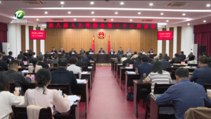 市八届人大常委会举行第三十三次会议 伍春宏主持会议并讲话