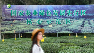 简讯 休宁县新安源有机茶旅入选全国“茶乡四时好风光”精品线路