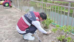 2026年全市虫媒传染病疫情防控培训暨卫生应急演练举行