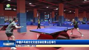 中德乒乓球文化交流活动在黄山区举行