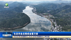 生态农业点绿成金富万家