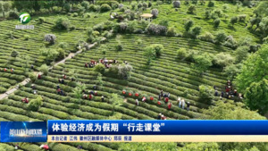 体验经济成为假期“行走课堂”