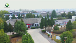 深耕“导-师-制+” 打造全员全域育人新模式