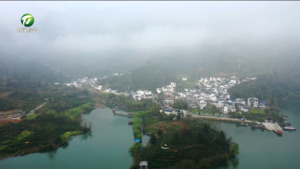 黄山区：从“一片叶子”到“一域美景” 绘就和美乡村新画卷