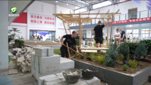 中外研学交流热 世赛匠心传世界