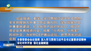 市委常委会会议强调  深入学习贯彻习近平总书记重要讲话精神 深化对外开放 强化金融赋能
