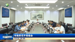 市政府召开党组会