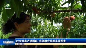 时令鲜果产销两旺 农旅融合绘就丰收图景