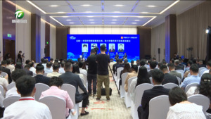 2026RCEP成员国侨商对话会举行