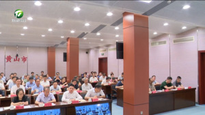 丁纯在全市警示教育大会上强调 深化以案促学以案促改以案促治 把正确政绩观树得牢而又牢践行得实而又实 何毅伍春宏左龙出席