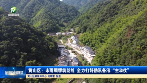 黄山区：未雨绸缪筑防线 全力打好防汛备汛“主动仗”