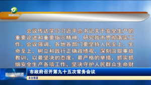 市政府召开第九十五次常务会议
