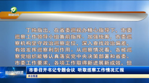 市委召开书记专题会议 听取巡察工作情况汇报