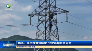 简讯：黟县：高空检修强防雷 守护汛期用电安全