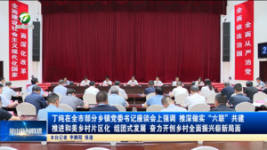 丁纯在全市部分乡镇党委书记座谈会上强调  推深做实“六联”共建推进和美乡村片区化 组团式发展 奋力开创乡村全面振兴崭新局面