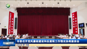市委召开党风廉政建设和反腐败工作情况协商座谈会