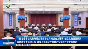 丁纯在全市防汛和地质灾害防治工作推进会上强调 细之又细做好防汛和地质灾害防治工作 确保人民群众生命财产安全和社会大局稳定