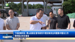 丁纯赴徽州区 黄山高新区督导新官不理旧账突出问题集中整治工作 调研重点项目建设