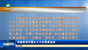 市政府召开第九十六次常务会议