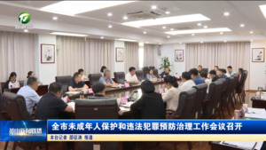 全市未成年人保护和违法犯罪预防治理工作会议召开