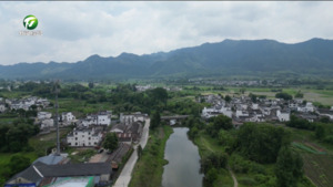 黟县:特色食品产业“链”动乡村 绿色赋能激活振兴动能 黟县:特色食品产业“链”动乡村 绿色赋能激活振兴动能