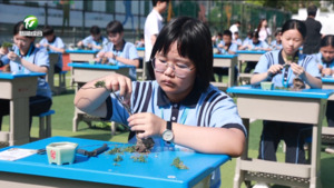 简讯：卖花渔村首届徽派盆景研学技能大赛举行