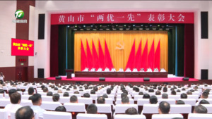 黄山市“两优一先”表彰大会召开 丁纯讲话  何毅主持 伍春宏左龙等出席
