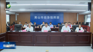 丁纯在全市防汛工作调度会上强调 深入学习贯彻习近平总书记重要讲话精神 坚决打赢防汛抗洪抢险救灾攻坚战