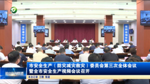 市安全生产（防灾减灾救灾）委员会第三次全体会议暨全市安全生产视频会议召开