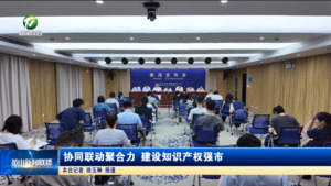 协同联动聚合力 建设知识产权强市