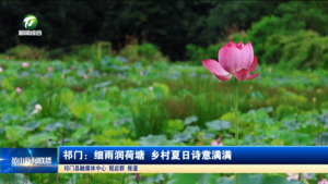 简讯 祁门：细雨润荷塘 乡村夏日诗意满满