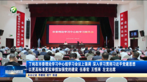丁纯在市委理论学习中心组学习会议上强调 深入学习贯彻习近平党建思想 以更高标准更实举措加强党的建设 伍春宏 王恒来 左龙出席