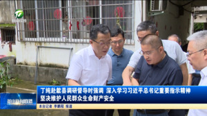 丁纯赴歙县调研督导时强调 深入学习习近平总书记重要指示精神 坚决维护人民群众生命财产安全