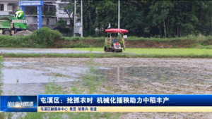 简讯 屯溪区：抢抓农时 机械化插秧助力中稻丰产
