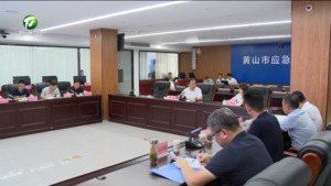丁纯在全市强降雨强台风防范应对工作会商调度会上强调 坚决打赢强降雨强台风防范应对主动仗 确保人民群众生命财产安全