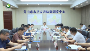 丁纯在调度督导防汛防台风工作时强调 坚持生命至上科学决策应对 坚决打赢防汛防台风攻坚战