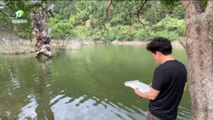 徽州区：笔墨抒古韵 文艺暖乡村