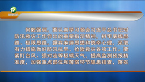 市政府党组会召开