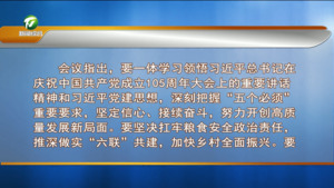 市委常委会会议强调 深学细悟习近平总书记重要讲话精神 奋力推动高质量发展行稳致远