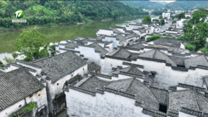 歙县:守千年文脉 焕古建新生 构建文物保护新格局 歙县:守千年文脉 焕古建新生 构建文物保护新格局