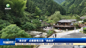 “清凉游”点燃暑期文旅“热经济”