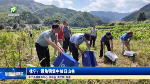 简讯：休宁：领角鸮集中放归山林